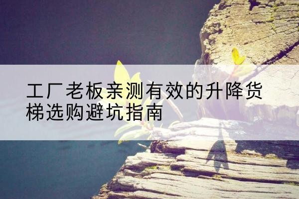 广昌升降货梯怎么选-工厂老板亲测有效的升降货梯选购避坑指南