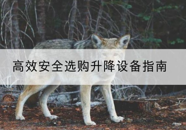 广昌升降货梯厂家推荐-*安全选购升降设备指南