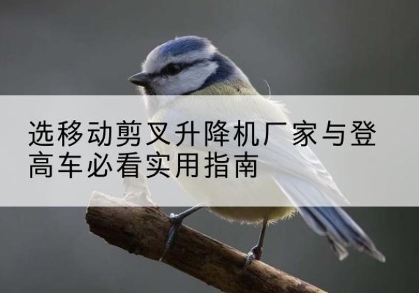 广昌电动升降机厂家-选移动剪叉升降机厂家与登高车必看实用指南
